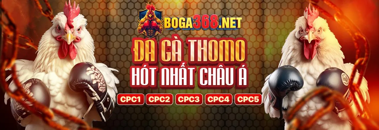 Sân đấu đá gà trực tuyến lg777