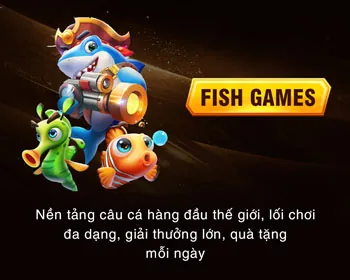 Kết nối ổn định và tốc độ cao